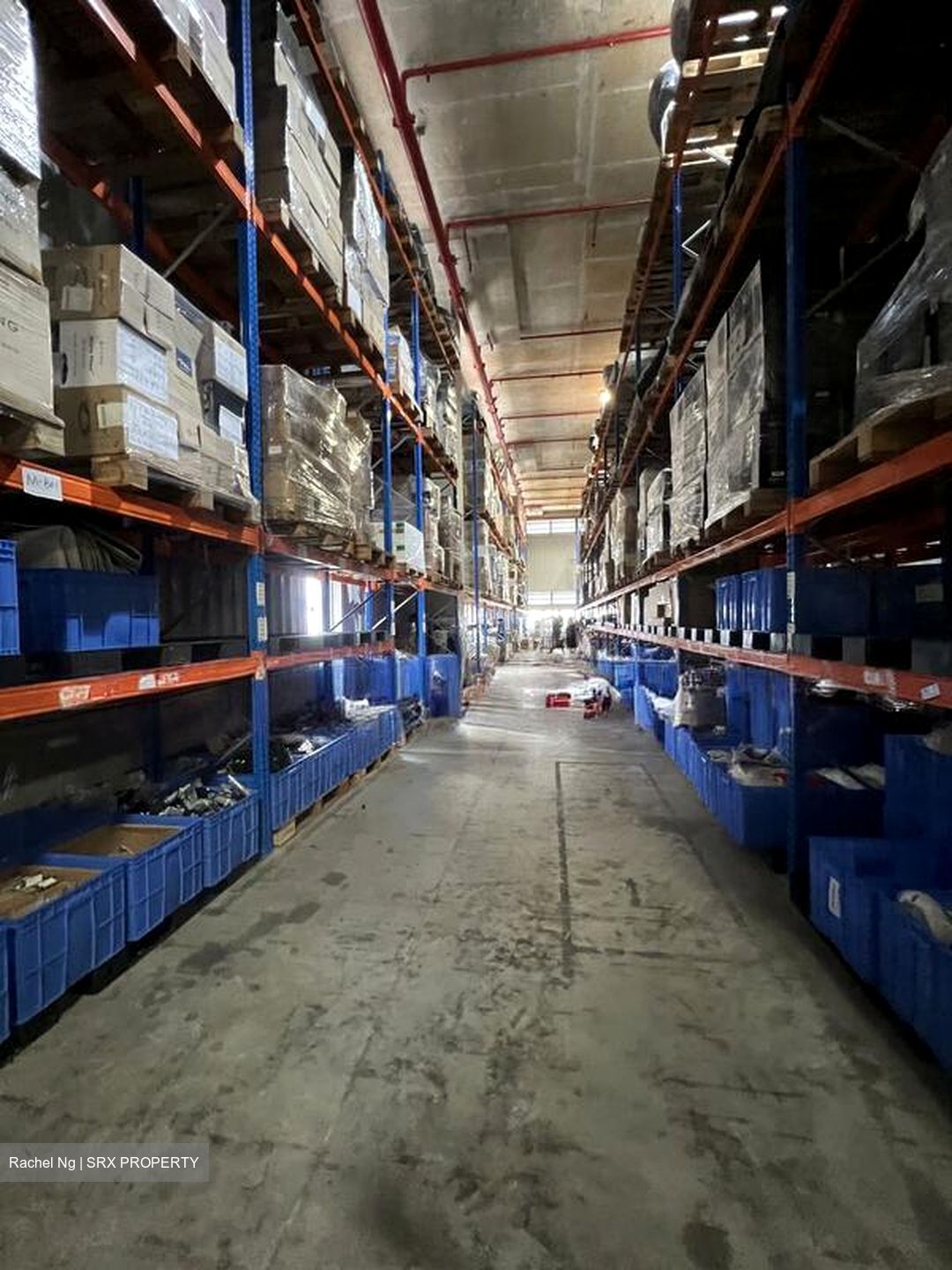 Imm Building (D22), Warehouse #565833931